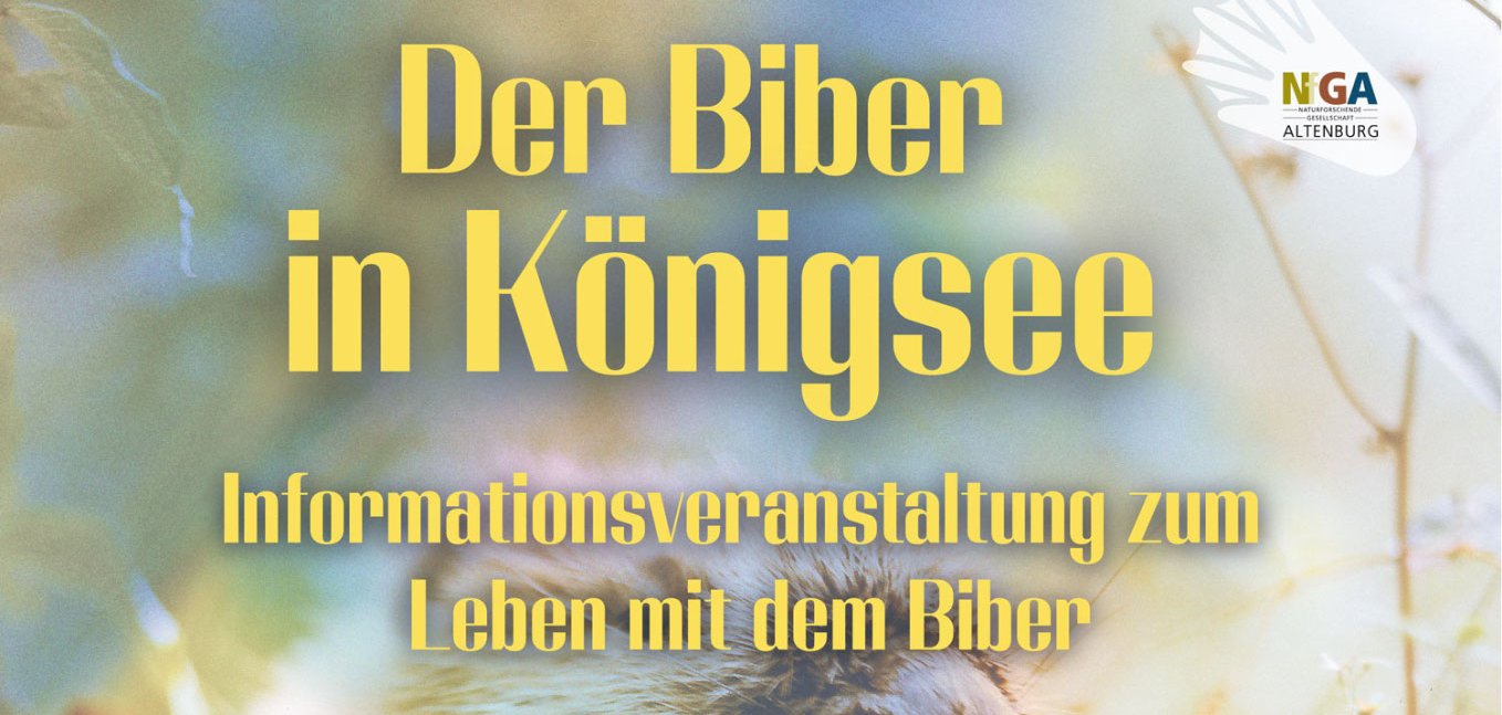 in Königsee