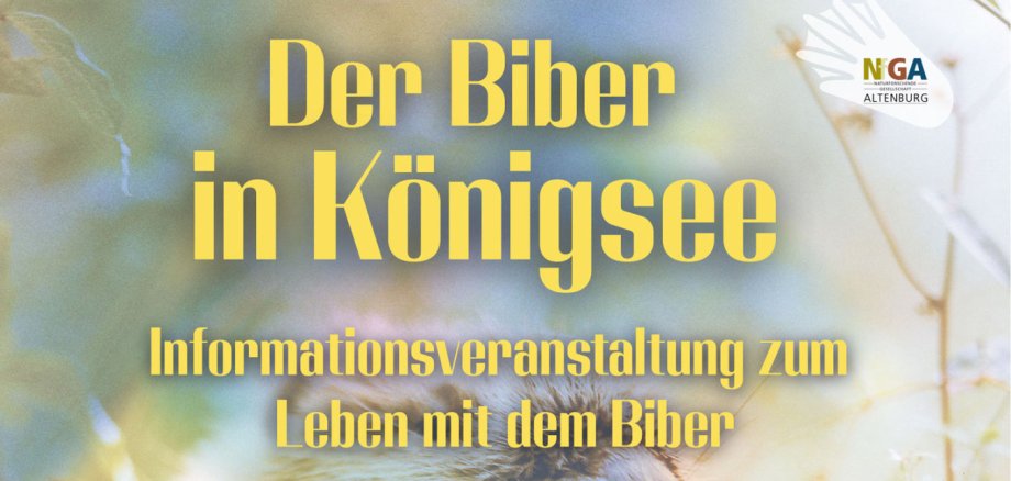 in Königsee
