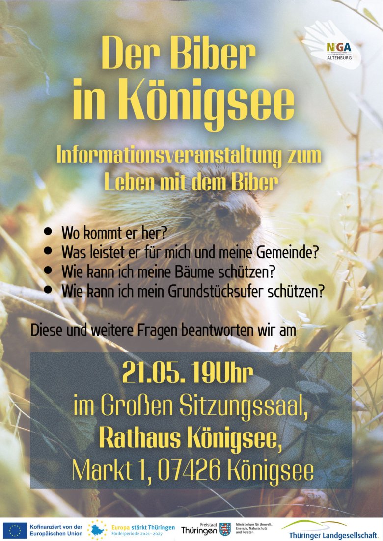 in Königsee in Königsee