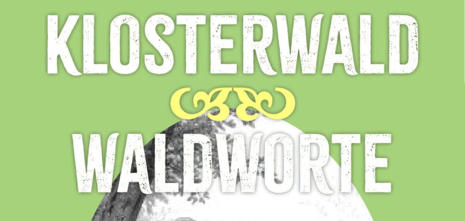 Flyer Ausstellung Paulinzella 2026