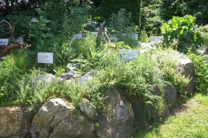 Kräutergarten