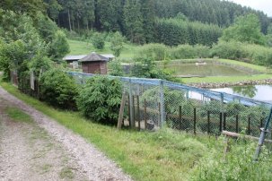 Tiergehege Dröbischau