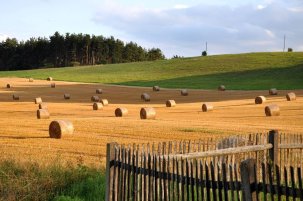Feld bei Hengelbach