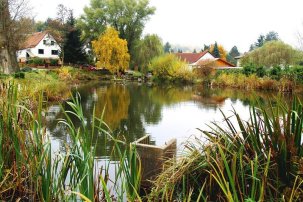 Teich am Felsenkeller