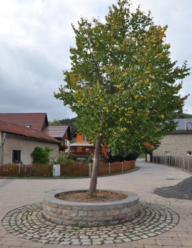 Am Dorfplatz