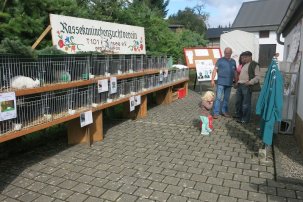 Rassekaninchenzuchtverein