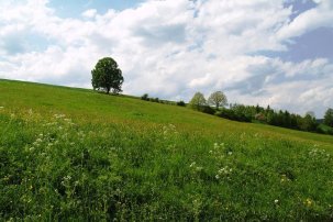 Landschaft