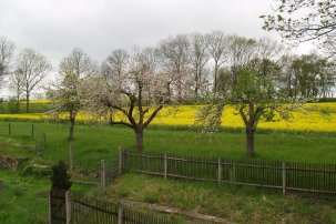 Frühling in Lichta