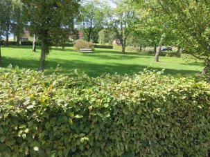 Oberhain Park