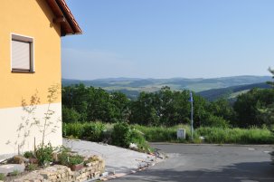 Blick vom Kuhberg in Rinnetal