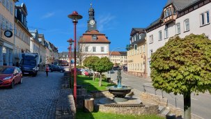 Baumgarten der Bäume des Jahres im Stadtwald